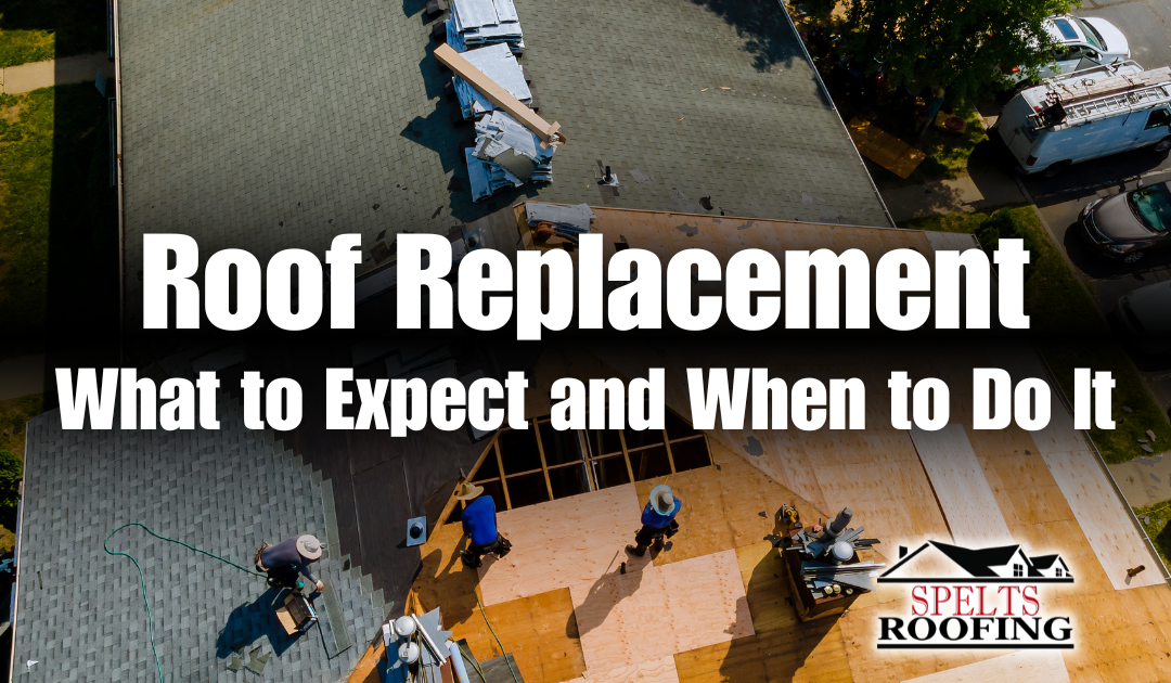 Roof Replacement | What to Expect and When to Do It